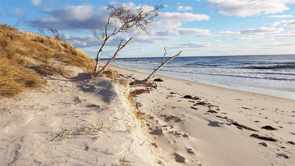Vandra i Sverige Österlen Brösarp